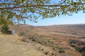 view of Natlismtsemeli hills and trees