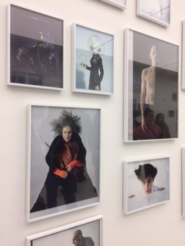 Wall of multiple white framed photographs by Tim Walker, portraits of celebrities.
