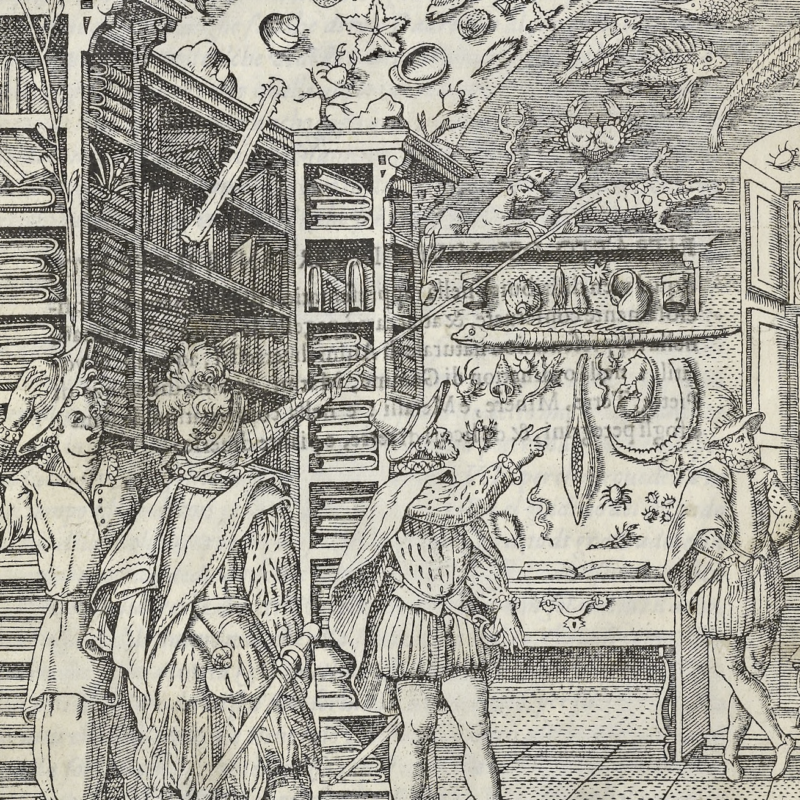 etching of cabinet of curiosities