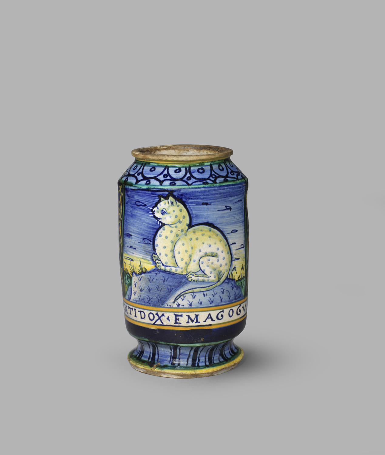 Blue and yellow pharmacy jar painted with a feline and an inscription for a menstruation remedy