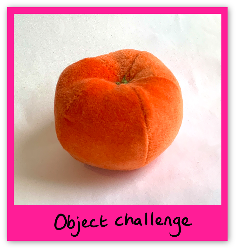 Object challenge activity with image of velvet mandarin